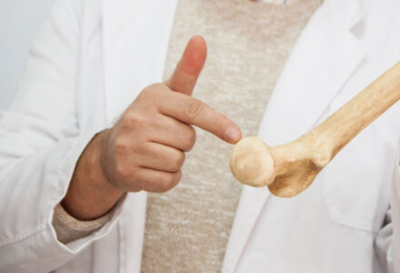 Policum knochendichtemessung igel