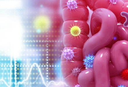 Policum koloskopie kohlendioxid igel